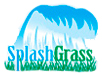 splash-grass