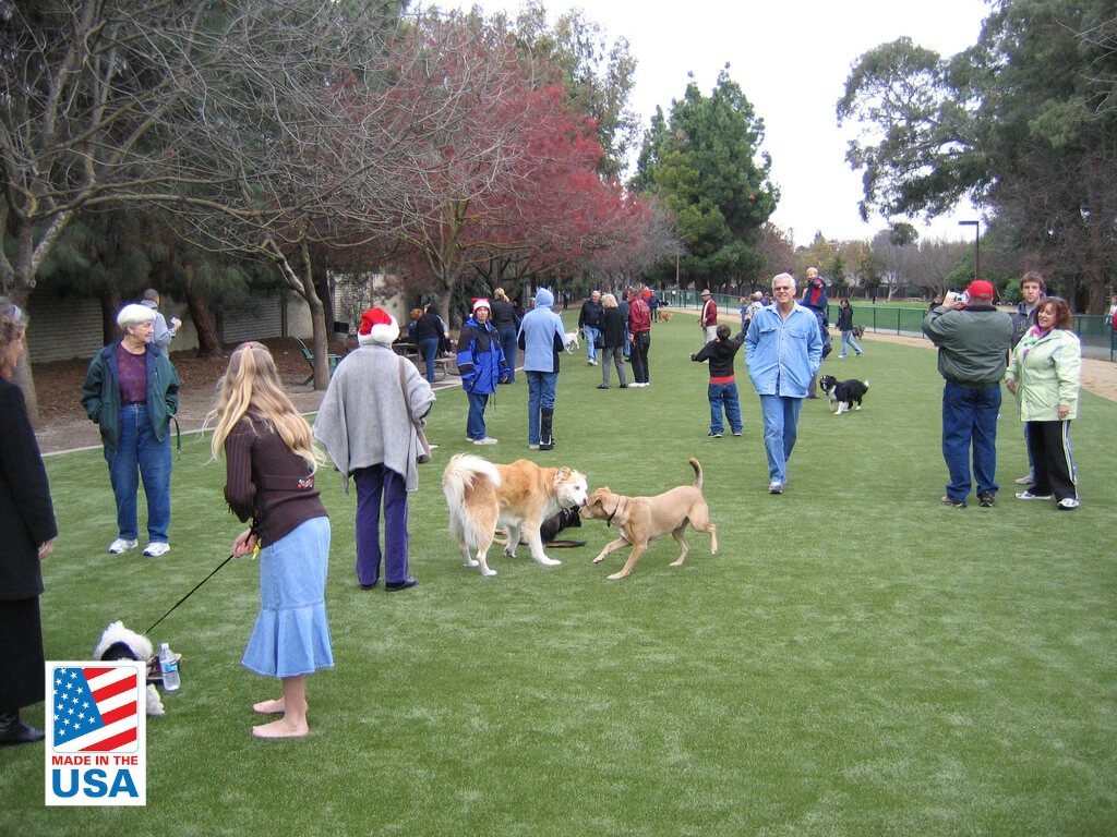 synthetic grass dog park