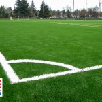 sportsgrass soccer field