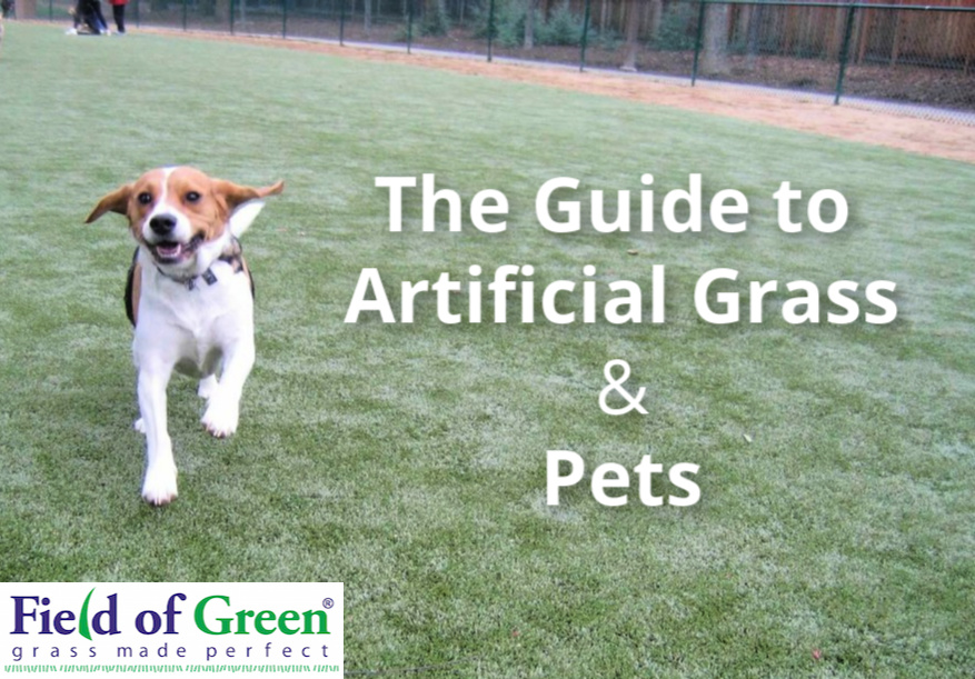 guide to artificial grass and pets